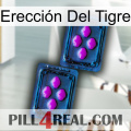 Erección Del Tigre 03